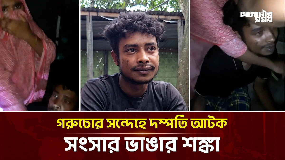 Video news 4