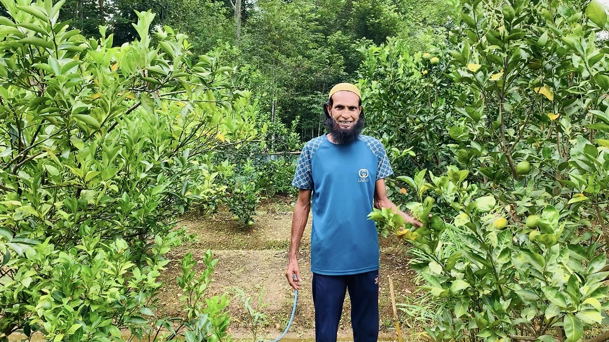 মাল্টা-কমলার বাগান গড়ে বদলে গেছে রাজুর ভাগ্য