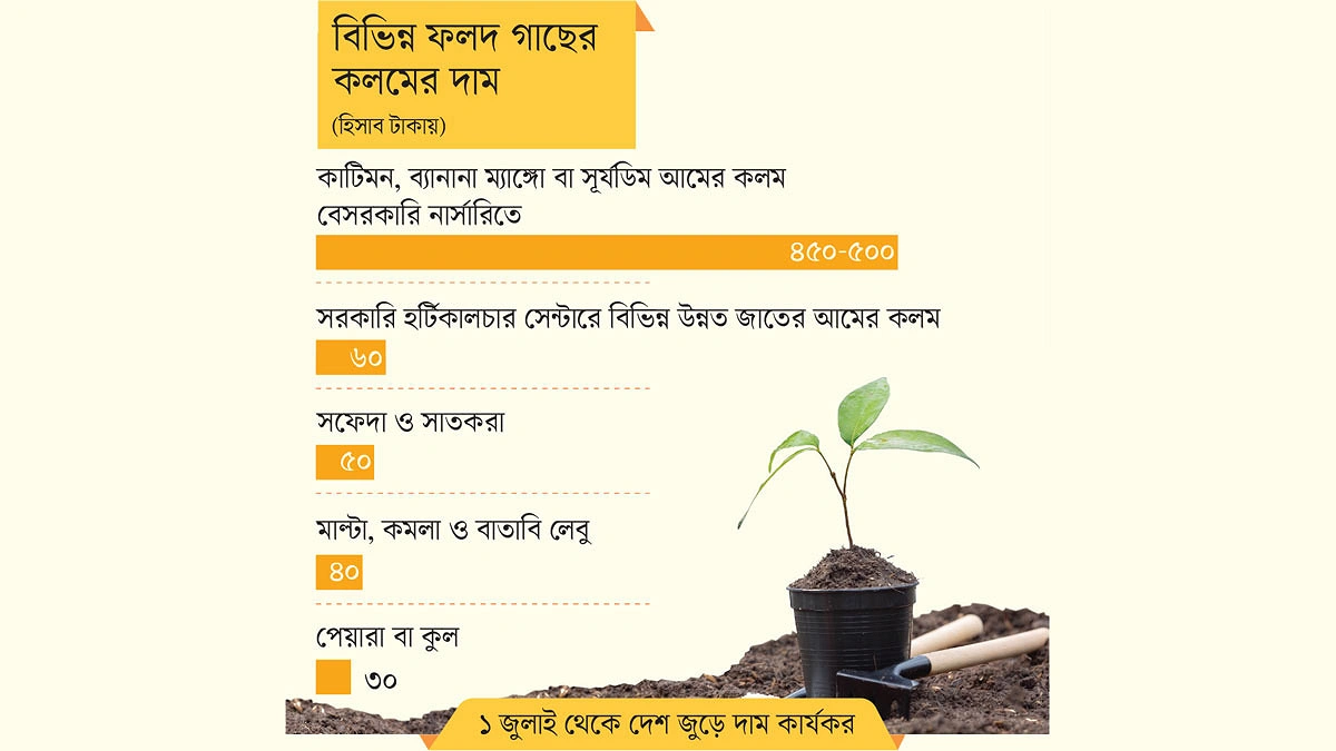বেসরকারিতে ৫০০ টাকার চারা সরকারিতে ৬০!