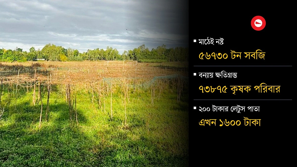 বন্যায় নষ্ট ১৪০ কোটি টাকার সবজি, উত্তরবঙ্গের ভরসায় চট্টগ্রাম