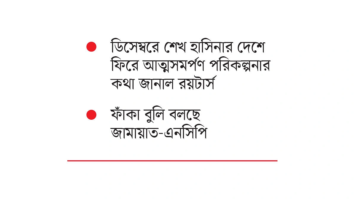 আমলে নিচ্ছে  না বিএনপি