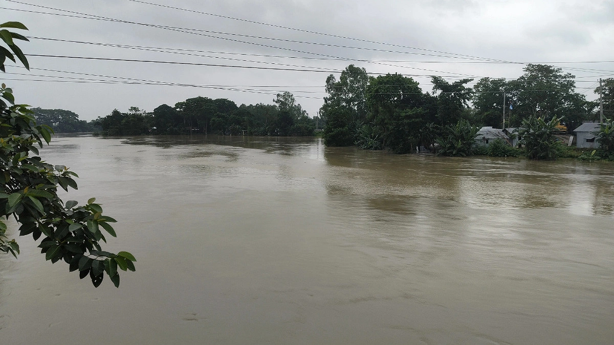 খোয়াই নদীর বাঁধ ভেঙে বানিয়াচংয়ের বিভিন্ন এলাকা প্লাবিত