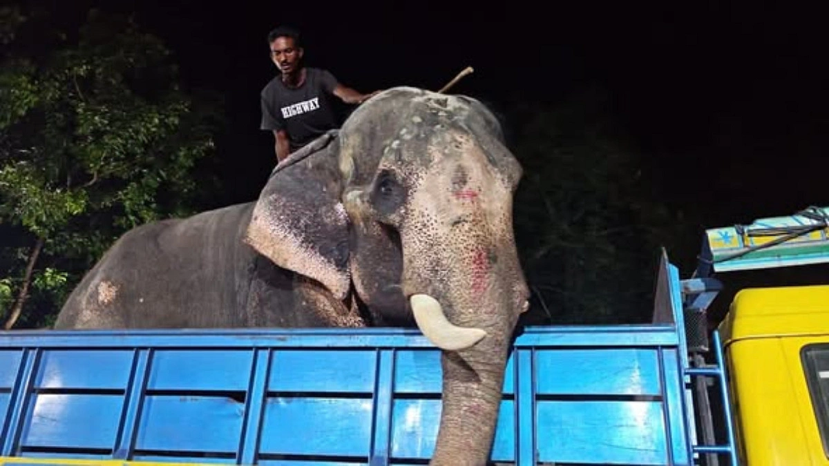 বগুড়ার সার্কাসের অসুস্থ হাতিকে নেওয়া হচ্ছে জাতীয় চিড়িয়াখানায়