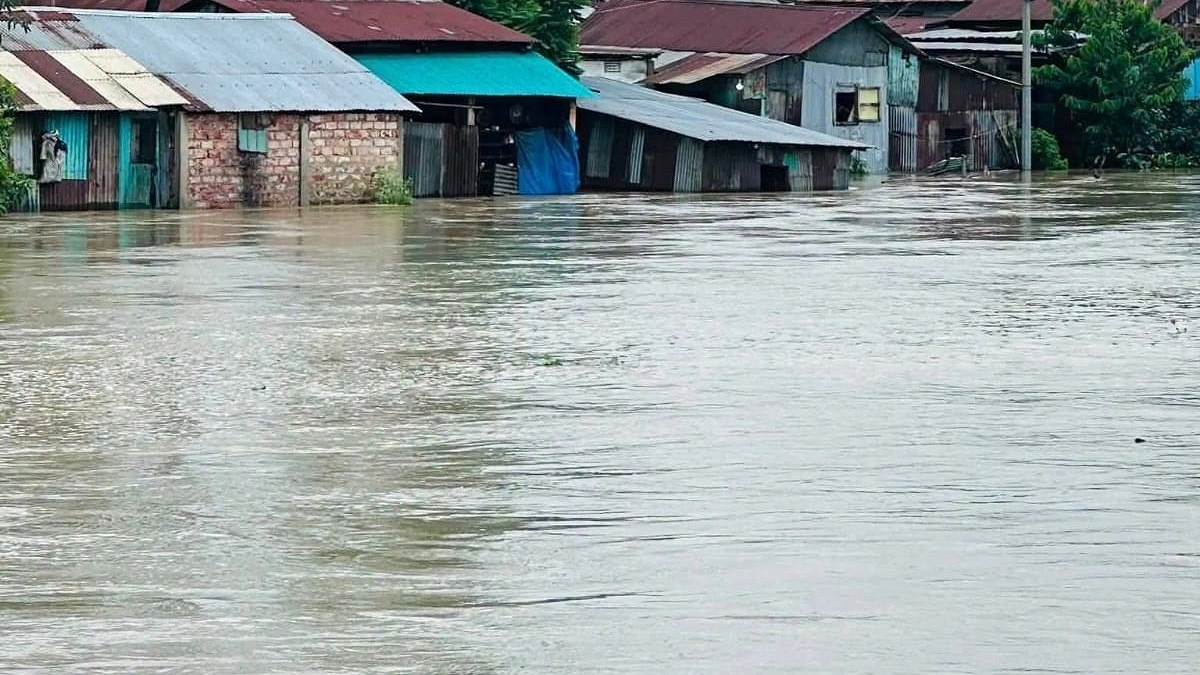 ঢলে ভেসে গেল ৯৫ কোটি টাকার মাছ