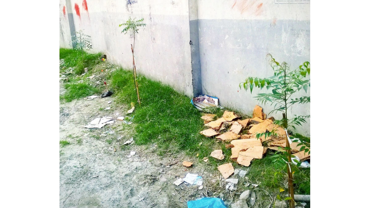 পশুর হাটে এখন নিমের সুবাস!