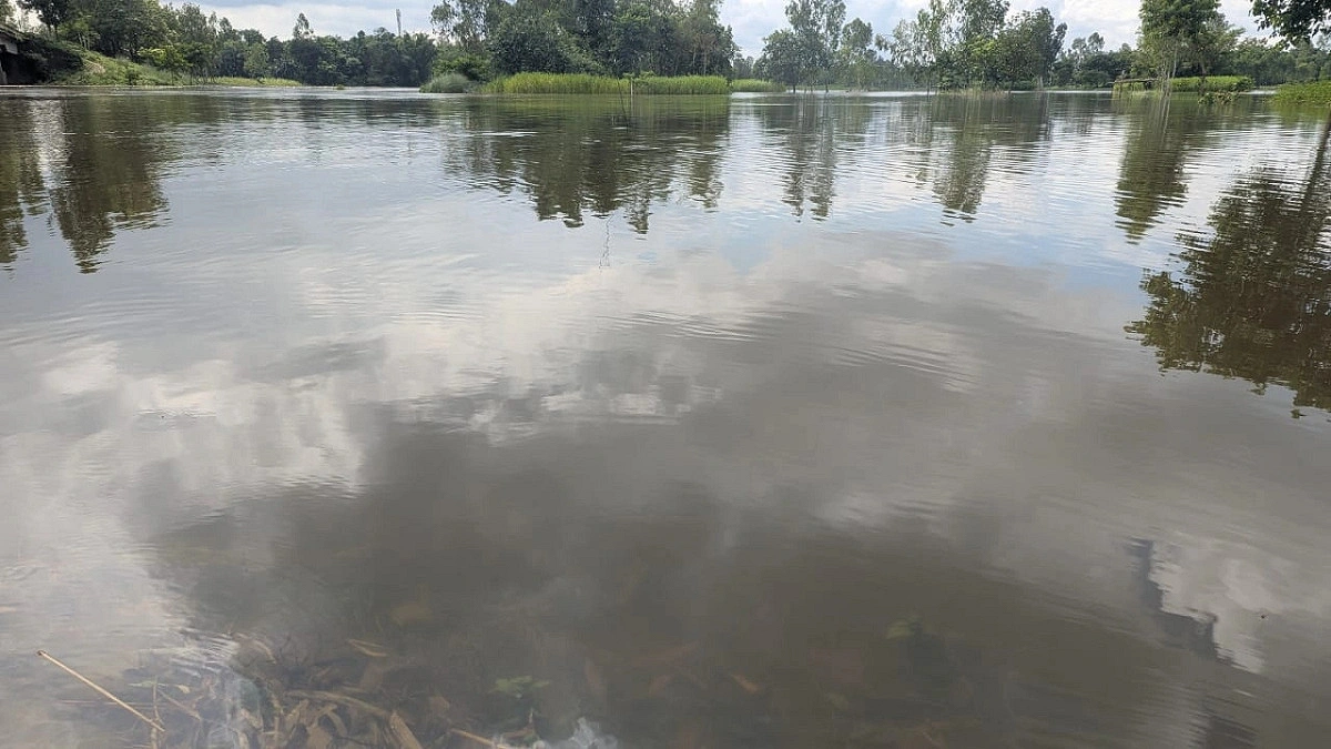 যমুনেশ্বরী নদীর পানি বিপৎসীমার ওপরে