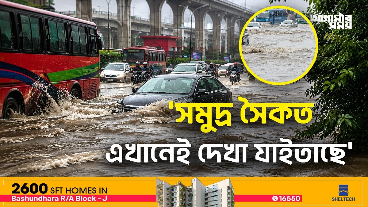 'গুলশান সোসাইটির মতো জায়গায় এমন মিনি কক্সবাজার আশা করিনি'