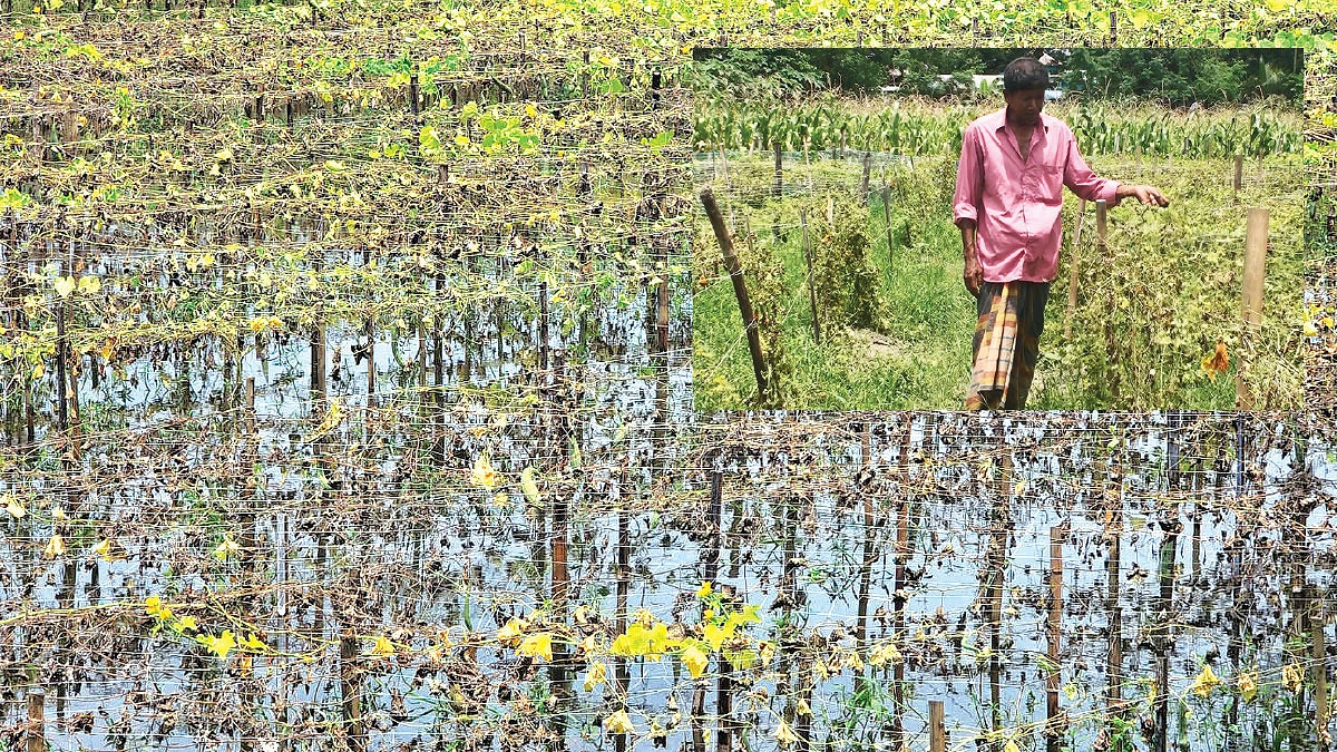 কপাল পুড়ল ৫ হাজার কৃষকের