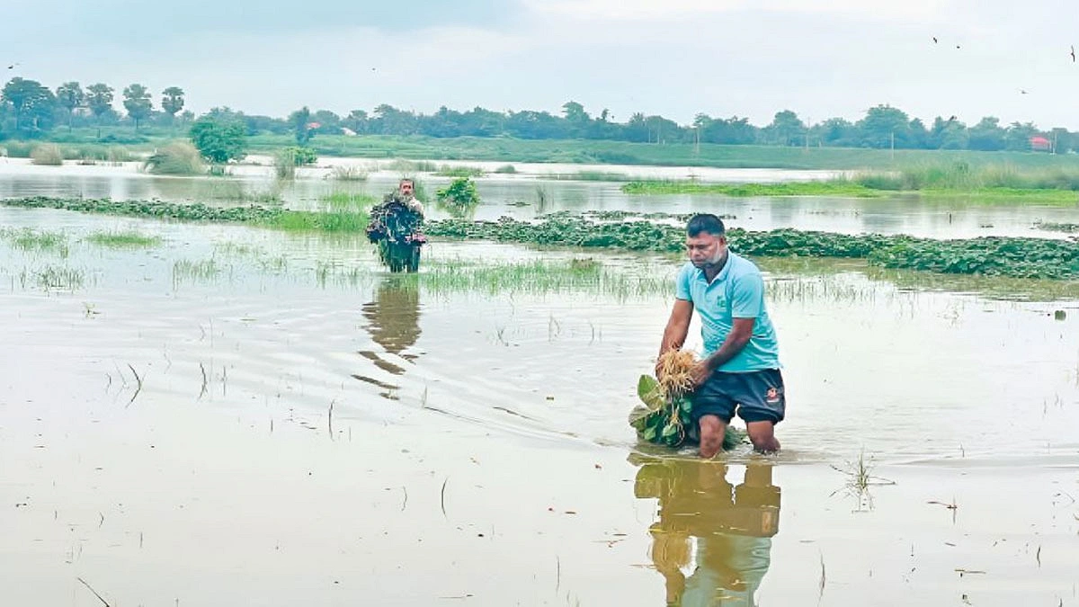 ২৮ হাজার হেক্টর ফসলের ক্ষতি