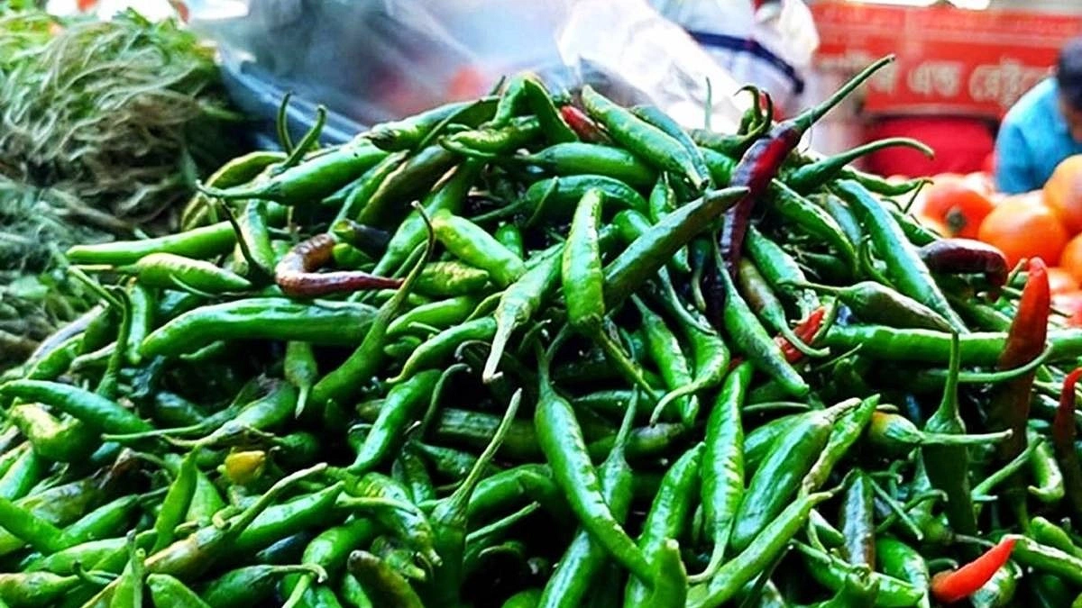 কাঁচামরিচের কেজি ২০০ টাকা ছুঁইছুঁই