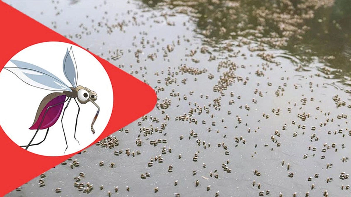 সংকটের শিকড় ও সমাধান
