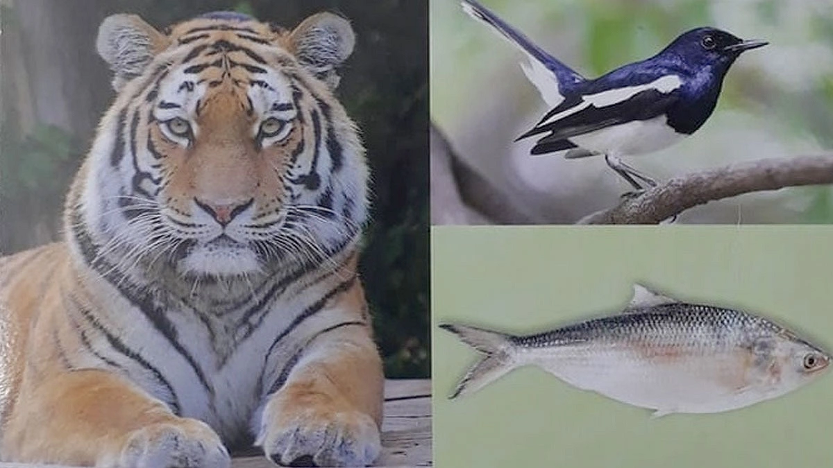 দ্বিতীয় অধ্যায়: প্রাণীর পরিচিতি