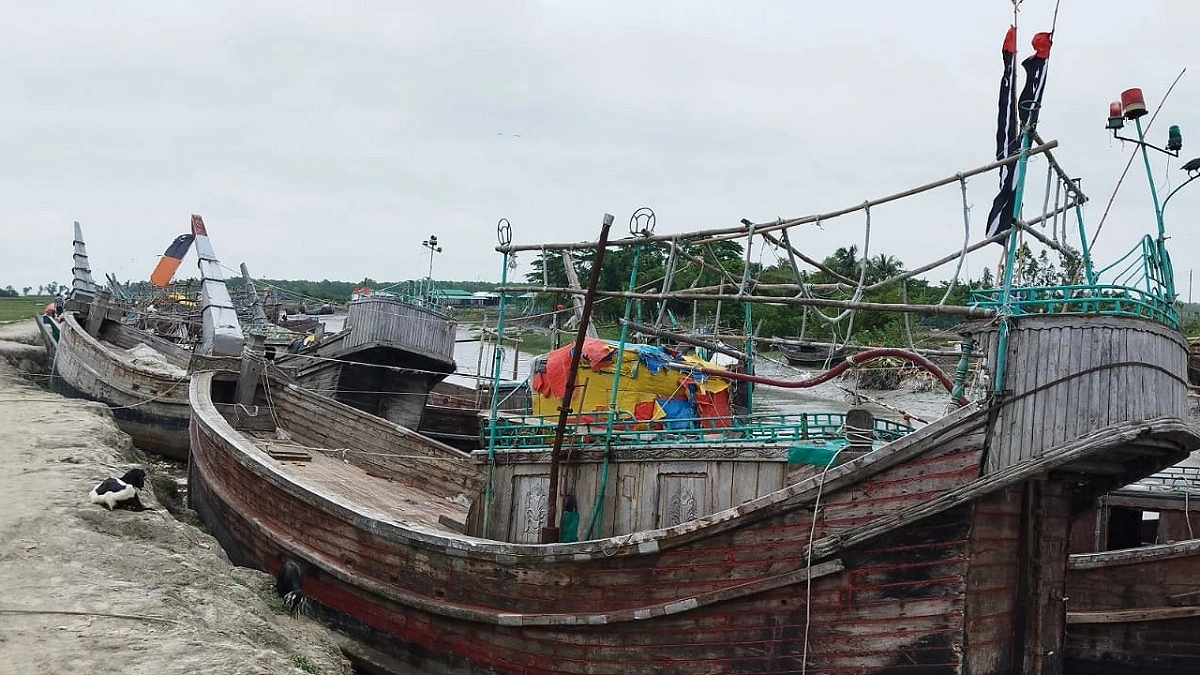ভরা মৌসুমেও হাতিয়ায় মিলছে না ইলিশ