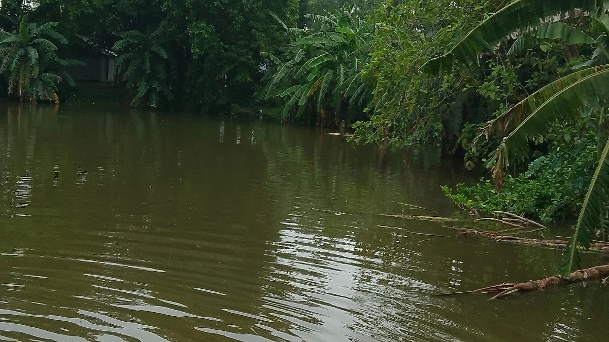 ৭০ পরিবারের চলাচলের রাস্তা দুই যুগ ধরে পুকুরে