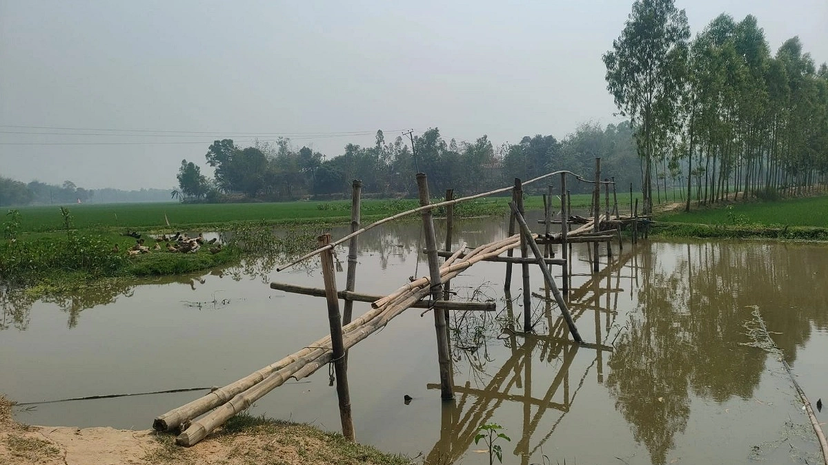 ঝুঁকিপূর্ণ বাঁশের সাঁকোয় চলছে হাজারো মানুষের পারাপার