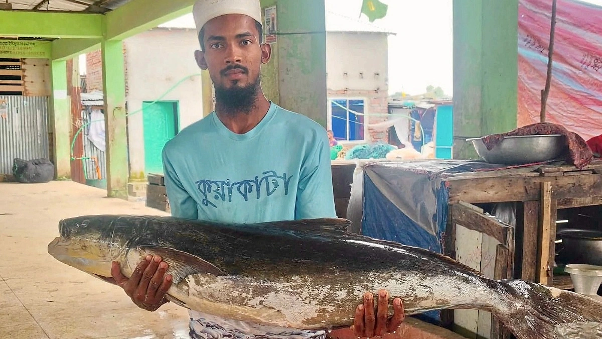 গভীর বঙ্গোপসাগরে মিলল ২০ কেজির সামুদ্রিক শোল