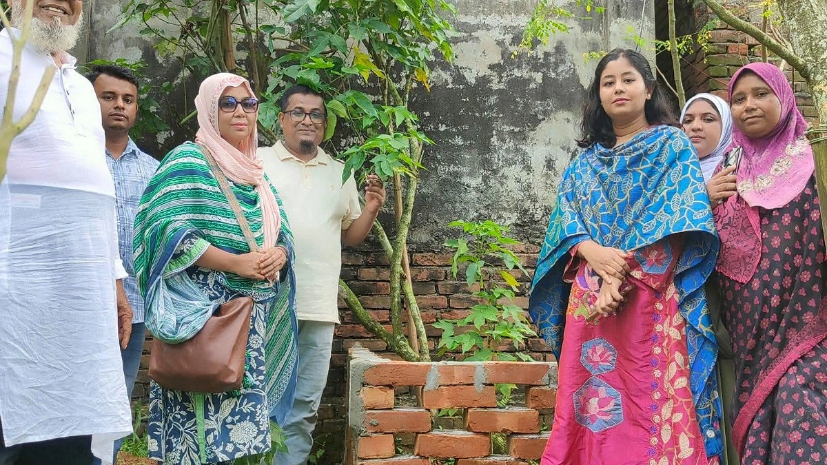 গাজীপুরে মিলল ঢাকাই মসলিনের প্রাণ ‘ফুটি কার্পাস’