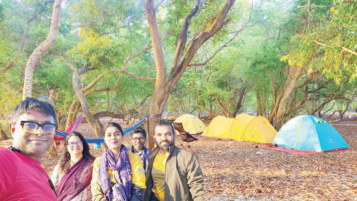 চর হেয়ারের ডায়েরি