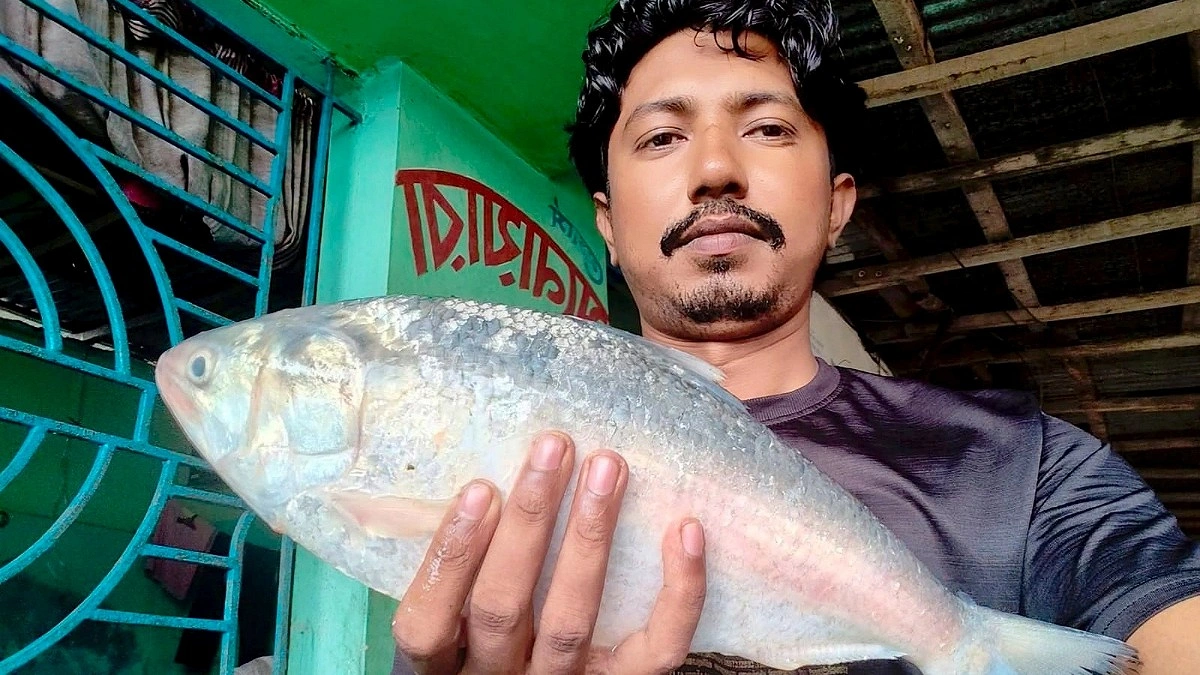 জেলের জালে ২ কেজি ১০০ গ্রামের ইলিশ, বিক্রি ৭ হাজারে