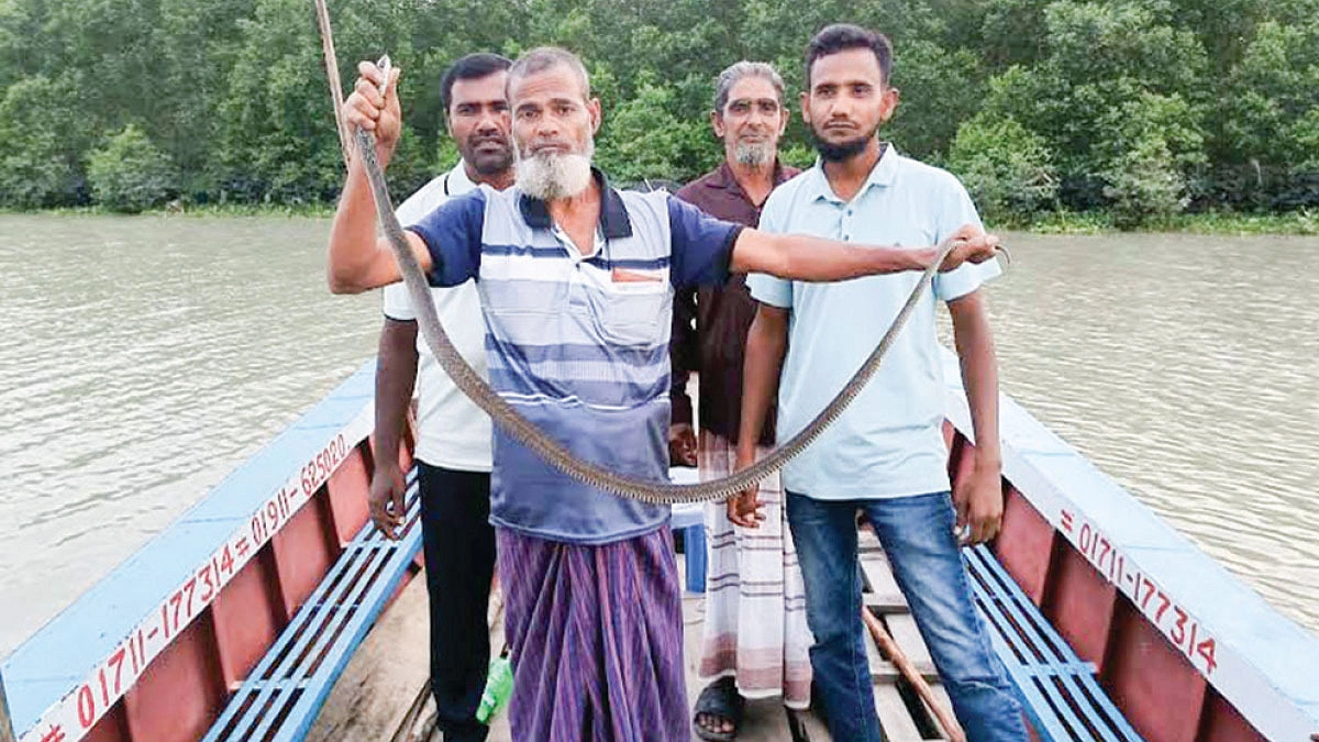 মানুষের সুরক্ষায় সাপ উদ্ধারে শামছু