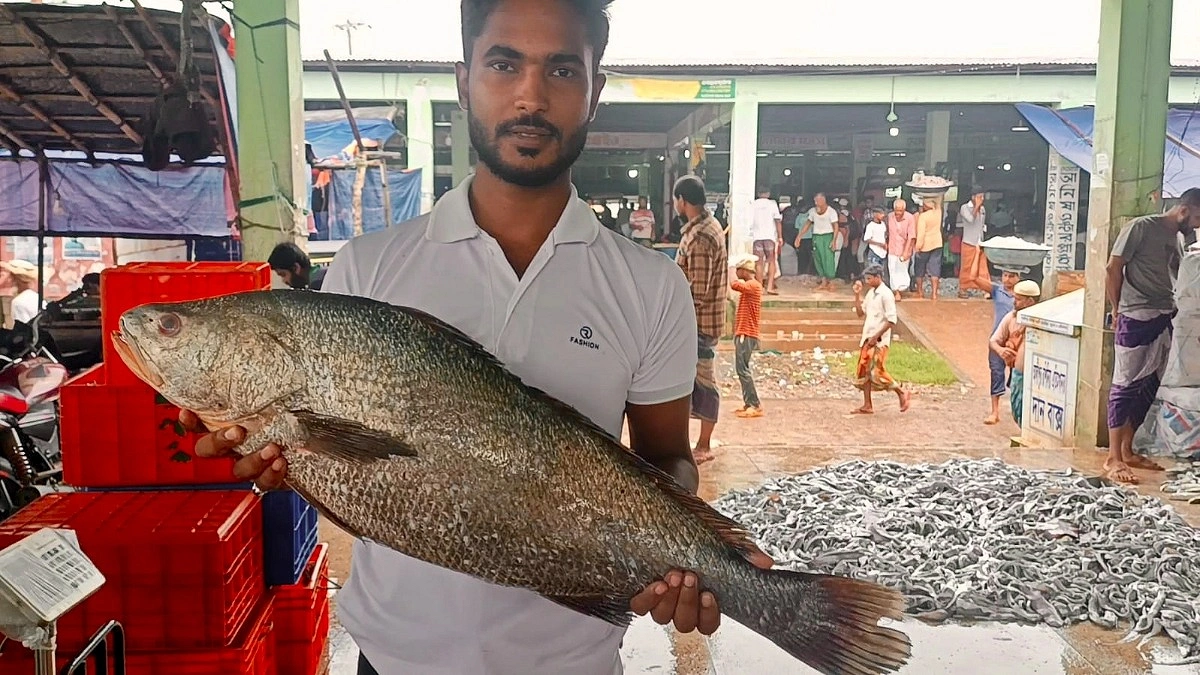 এক ‘কালো পোয়া’ বিক্রি অর্ধলাখে