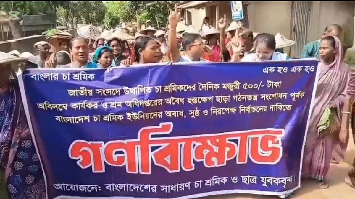 ৫০০ টাকা মজুরির দাবিতে চা শ্রমিক বিক্ষোভ