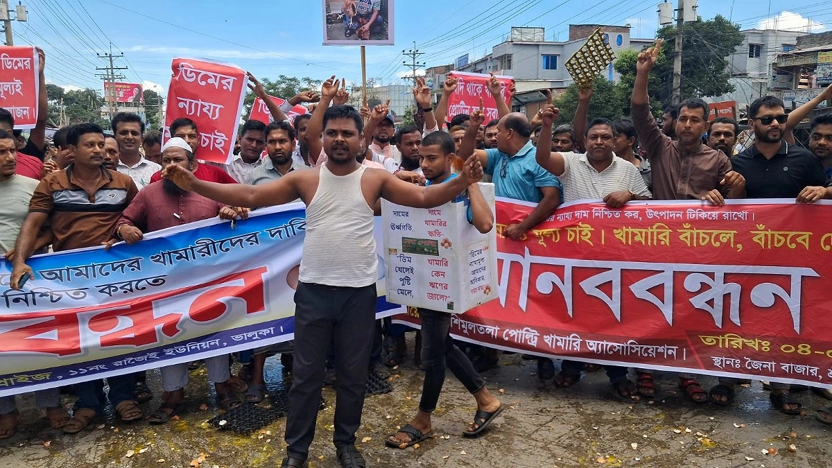 ডিম ভেঙে খামারিদের বিক্ষোভ, সিন্ডিকেট ভাঙার দাবি