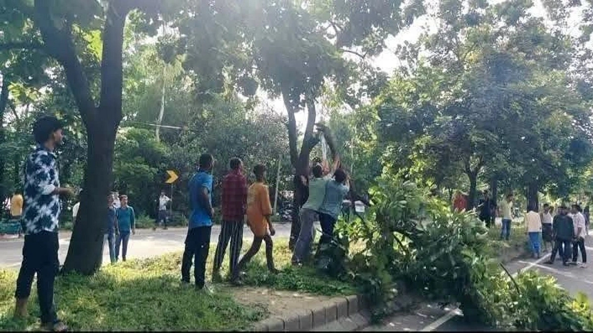 গাছ কেটে বিক্ষোভ, আসলামের অনুসারীদের বিরুদ্ধে মামলা
