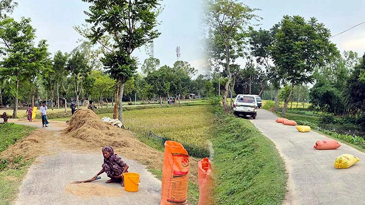 গঙ্গাচড়ায় সড়কে ধান শুকানোয় কঠোর হচ্ছে প্রশাসন