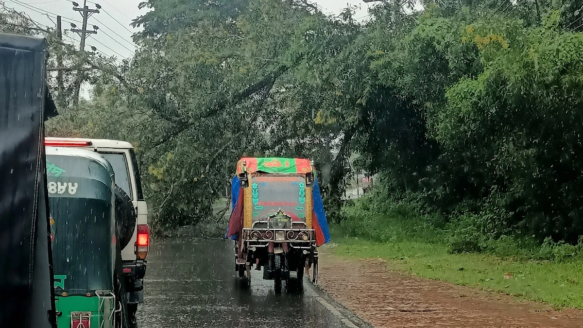 গাছ পড়ে ৩৩ কেভি লাইন ক্ষতিগ্রস্ত, বিদ্যুৎহীন উখিয়া-টেকনাফ