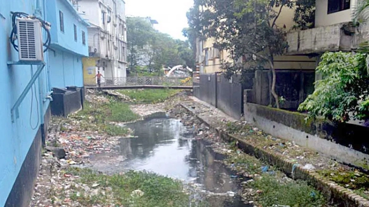 রংপুরের শ্যামাসুন্দরী এখন মশা উৎপাদনের কারখানা