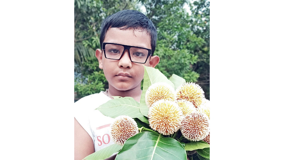 বৃষ্টি দিনের আনন্দ
