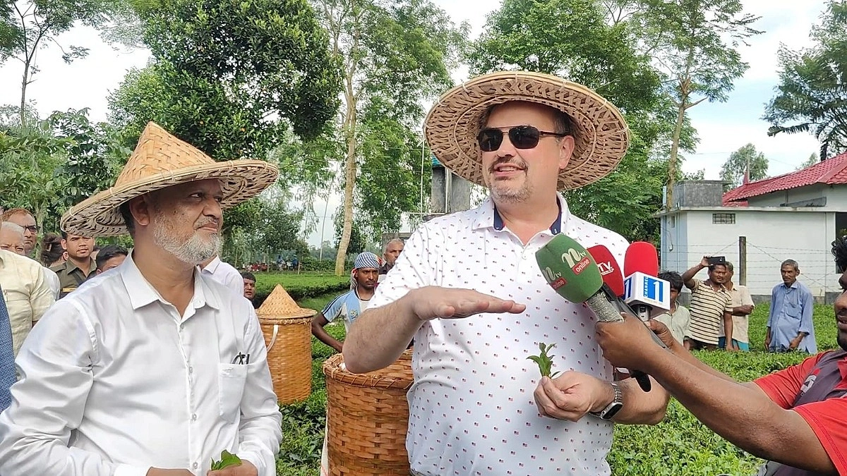 ঠাকুরগাঁওয়ে চা বাগান দেখে মুগ্ধ মার্কিন রাষ্ট্রদূত