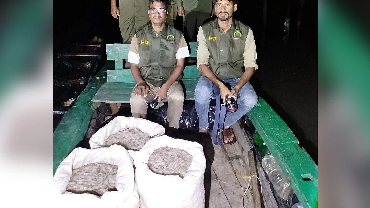 সুন্দরবনের বিষযুক্ত চিংড়িসহ নৌকা জব্দ