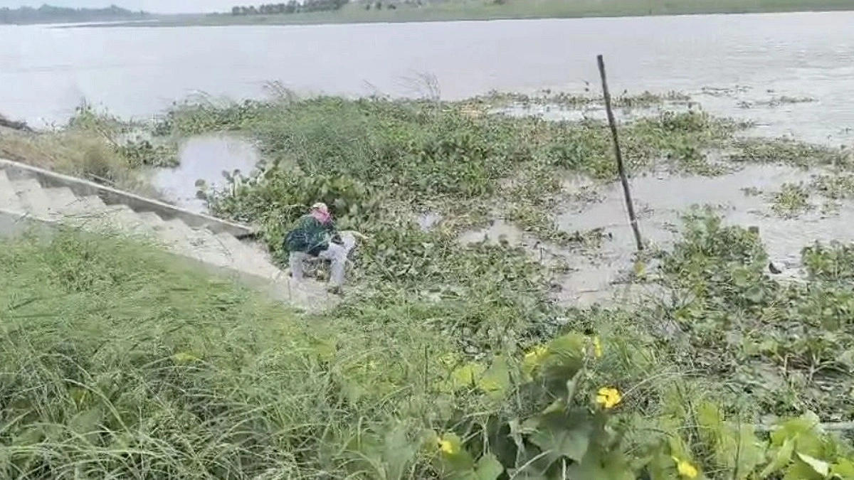 মায়ের লাশ ঝোপে, ৫ দিন পর শিশুর মরদেহ মিলল আড়িয়াল খাঁ নদে