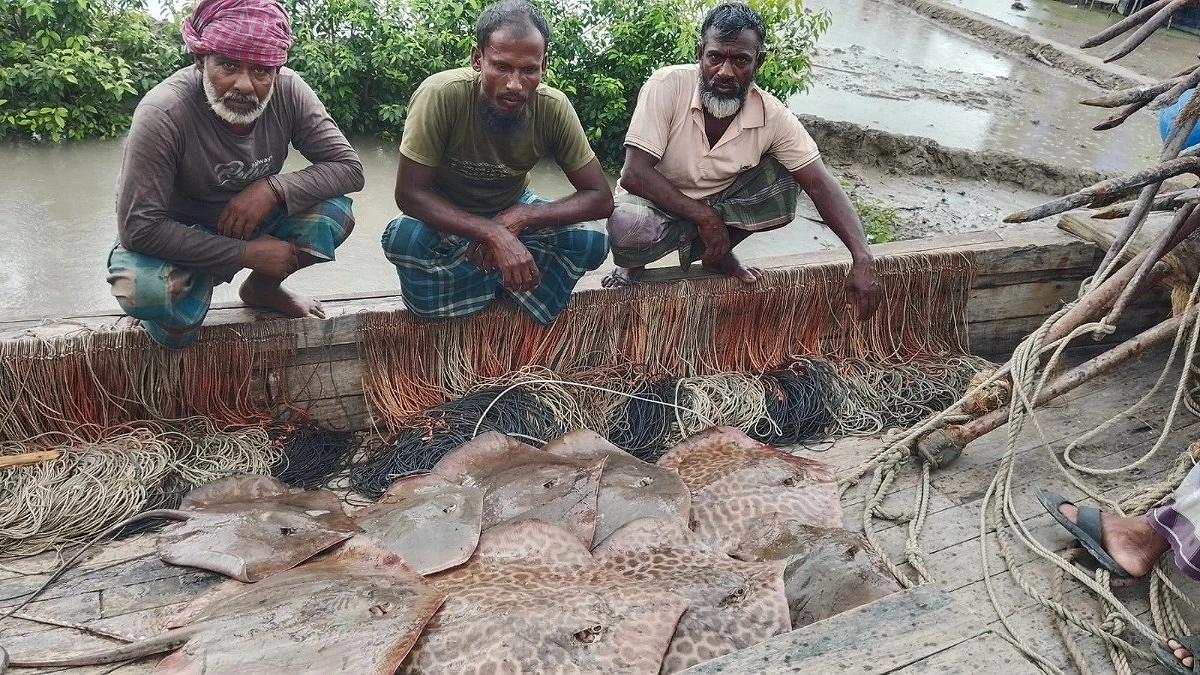 নিষেধাজ্ঞা অমান্য করে মৎস্য আহরণ, ৬ জেলে আটক