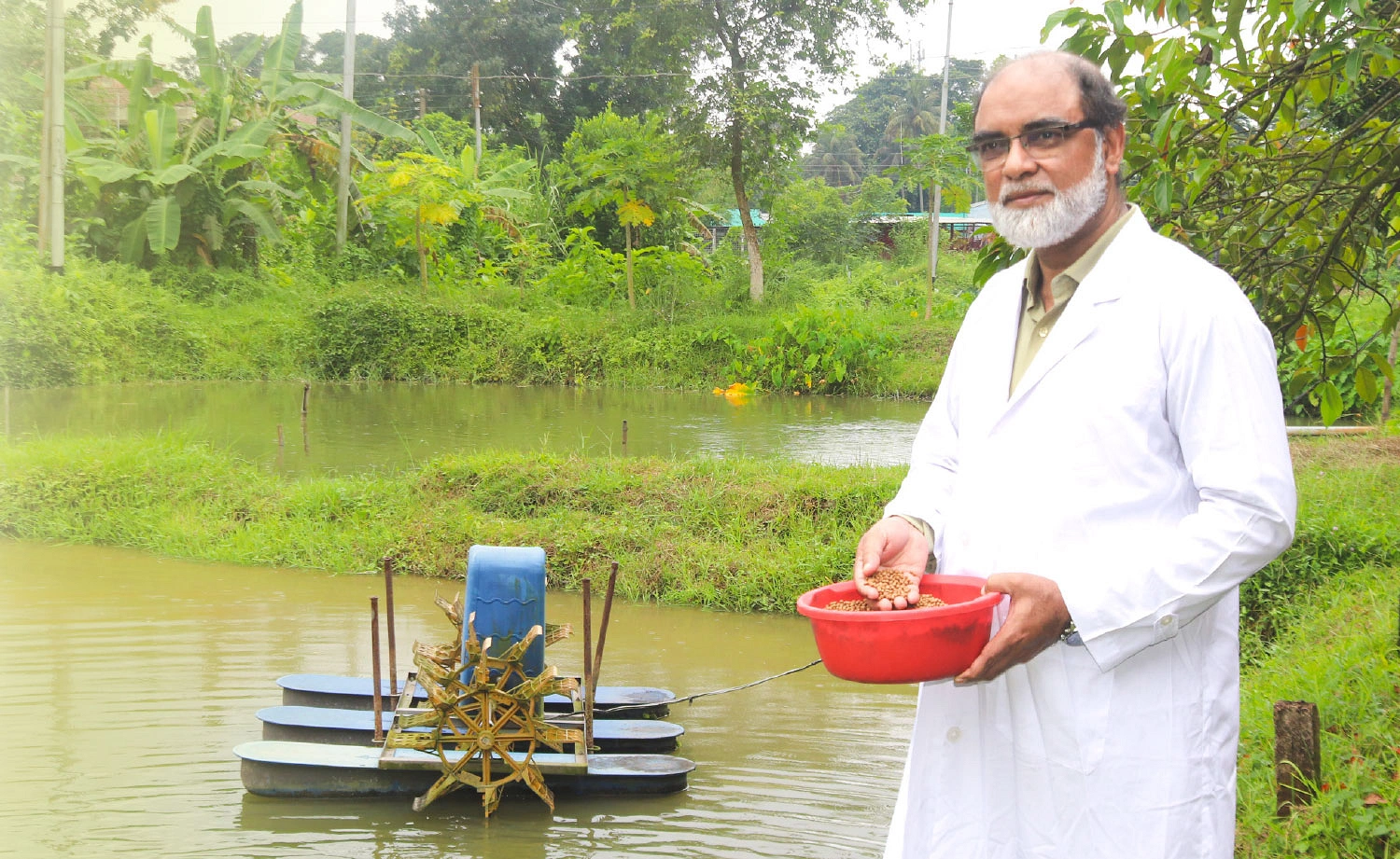 বাংলাদেশ কৃষি বিশ্ববিদ্যালয়ের পুকুরে মাছকে খাবার দিচ্ছেন অধ্যাপক ড. রফিকুল ইসলাম সরদার। ছবি: লেখক বাংলাদেশ কৃষি বিশ্ববিদ্যালয়ের পুকুরে মাছকে খাবার দিচ্ছেন অধ্যাপক ড. রফিকুল ইসলাম সরদার। ছবি: লেখক