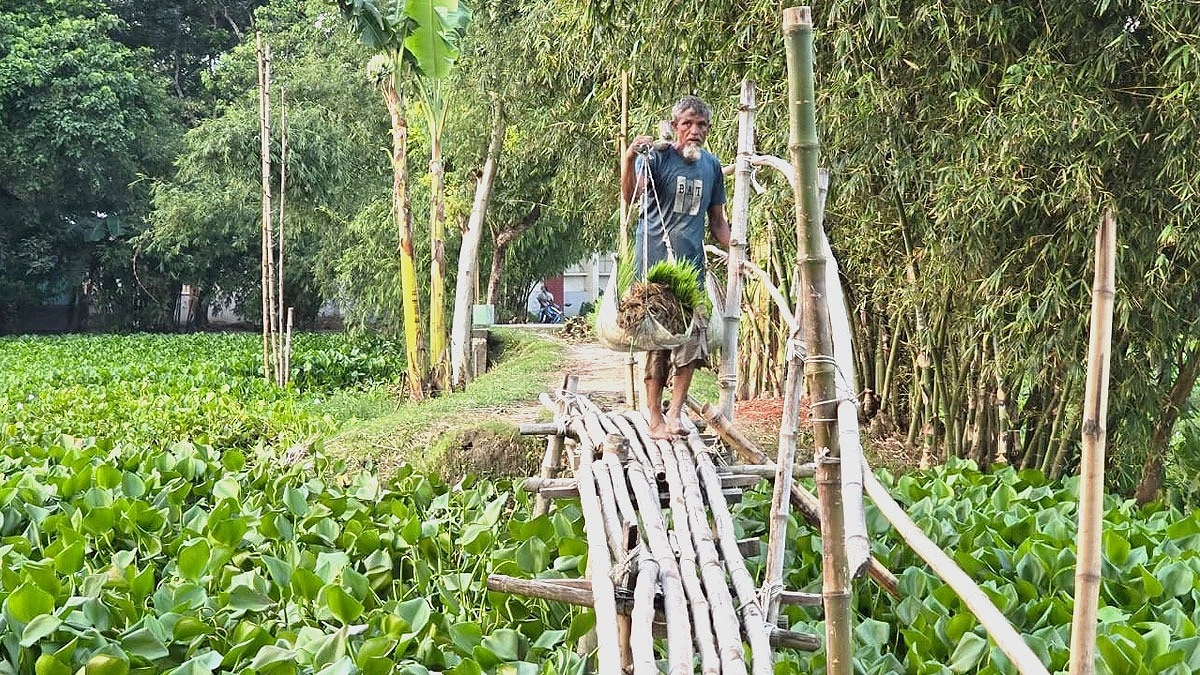 বরাদ্দের তিন বছরেও হয়নি কালভার্ট, পুরনোটি ভেঙে দুর্ভোগে ৫ গ্রামের মানুষ
