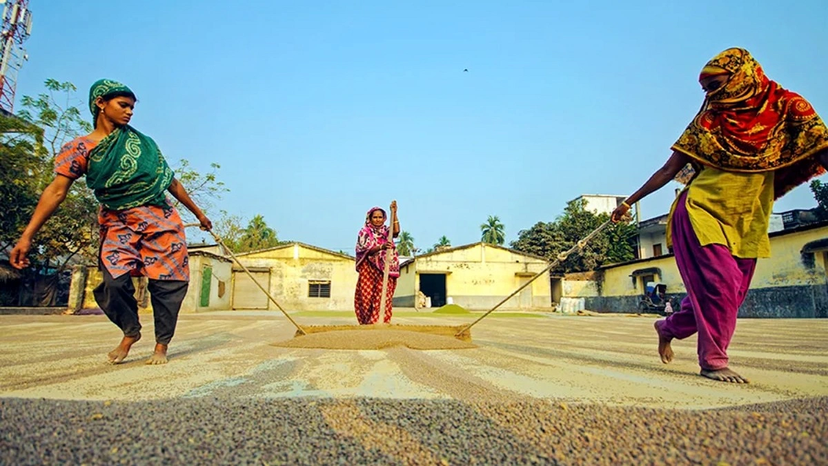 কৃষিতে শ্রম নারীর, সিদ্ধান্ত পুরুষের
