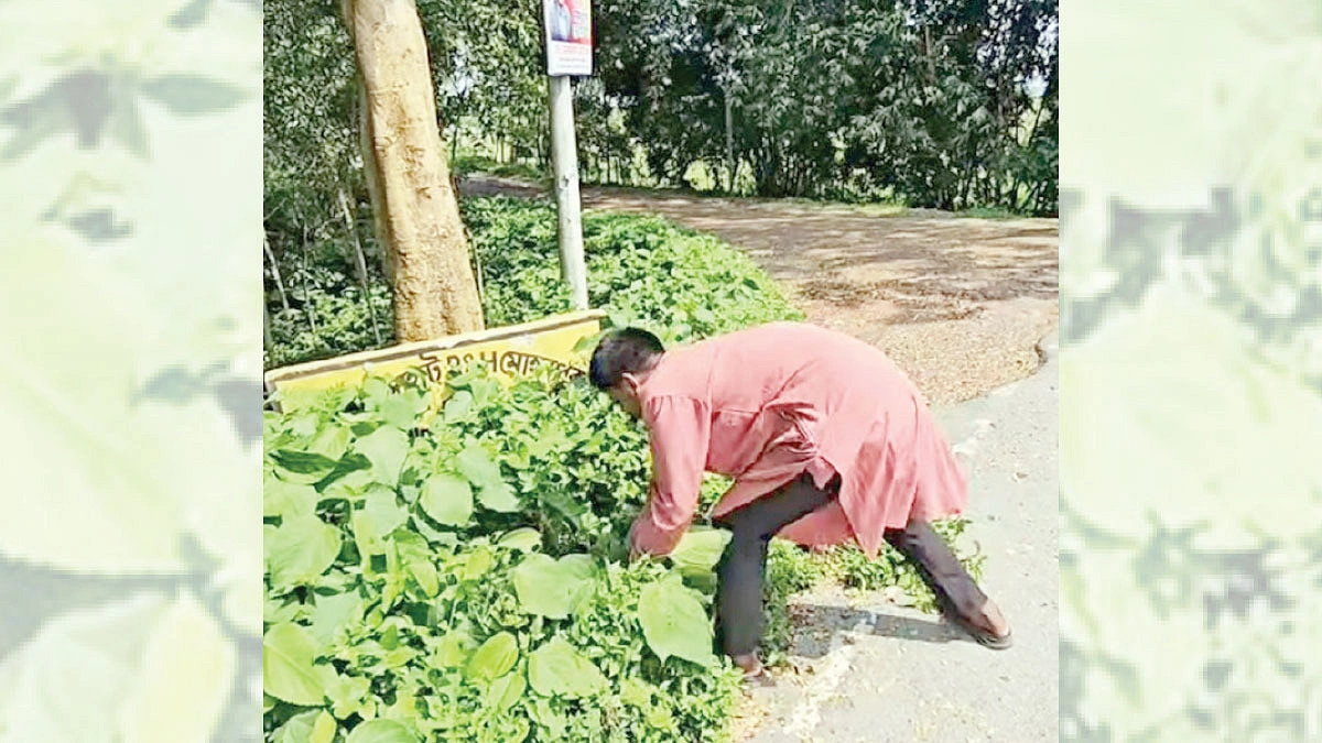 মলিন মাইলফলক রঙিন করেন মমিন