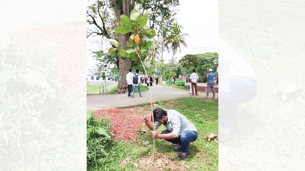 সবুজ স্বপ্ন বুনছেন শাকির