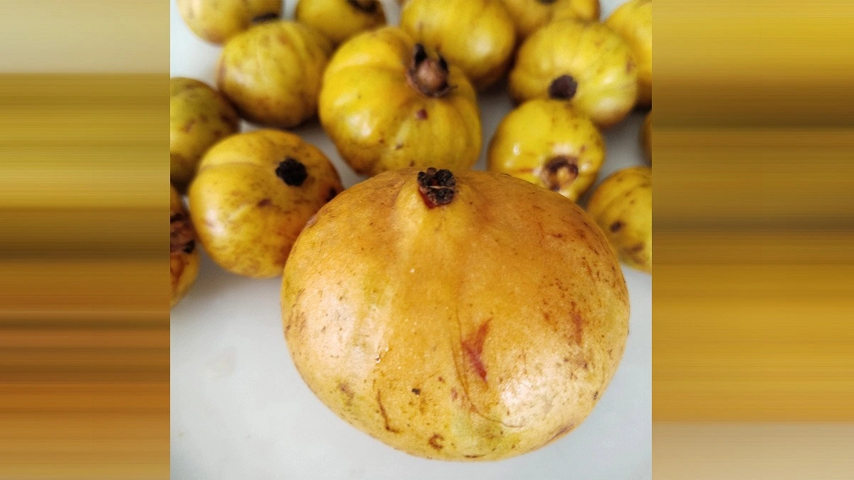 ফলের নাম কাউ