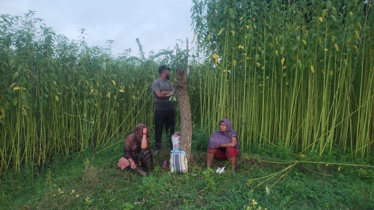 জীবননগর সীমান্তে ৩ জনকে পুশইনের চেষ্টা, প্রতিহত করল বিজিবি