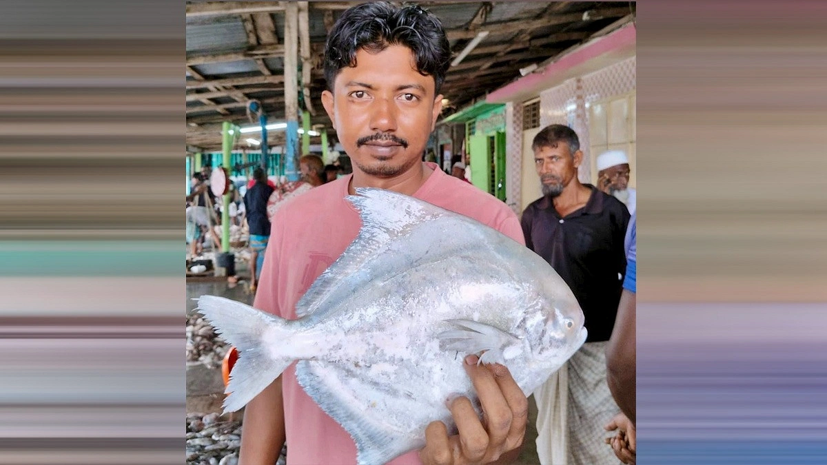 বঙ্গোপসাগরে জেলের জালে ১.৭ কেজির রূপচাঁদা, বিক্রি হলো ৪ হাজার টাকায়