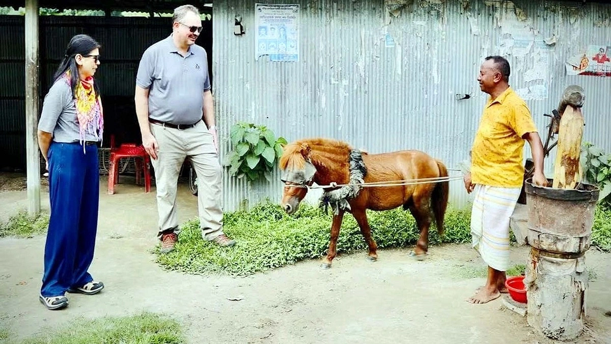 তেলের ঘানি মন কেড়েছে মার্কিন রাষ্ট্রদূতের