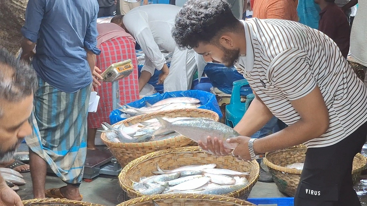 বেড়েছে ইলিশ বিক্রির হাঁকডাক, তবু দাম নাগালের বাইরে