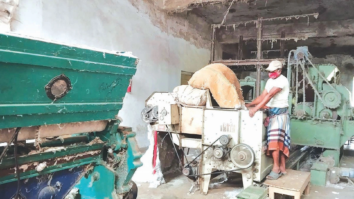 যশোরের জগদীশপুর তুলা খামারের খবর রাখে না কেউ