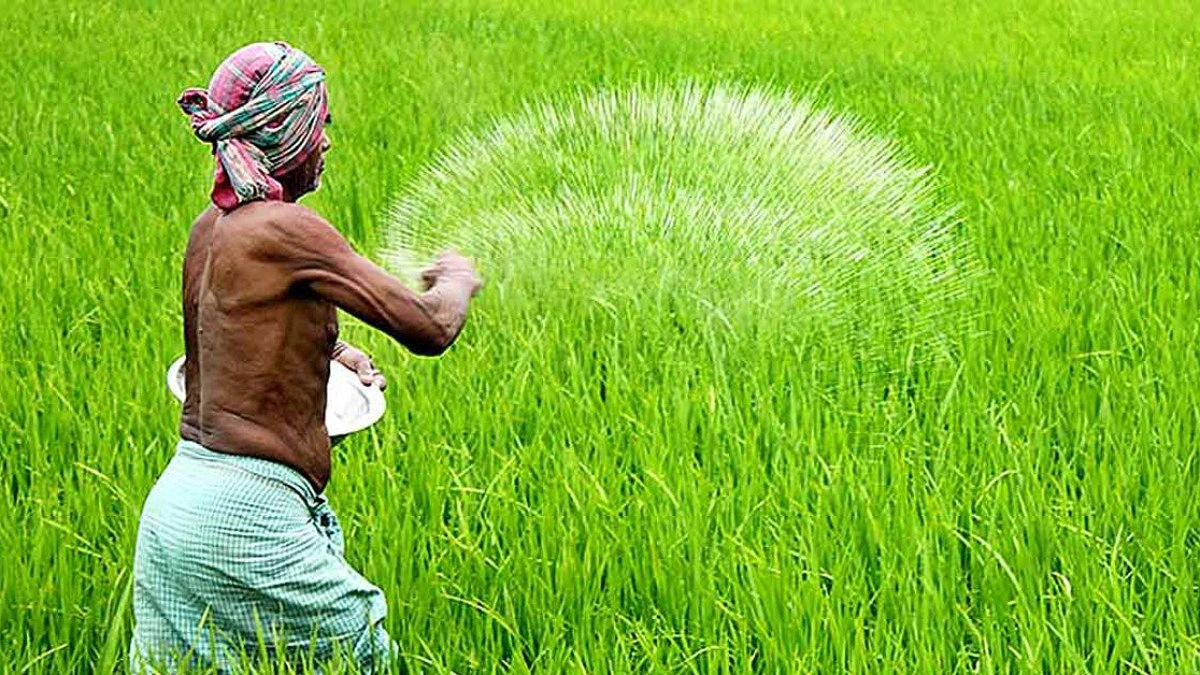 টাকা দিয়েও নেই সার, বিপাকে কৃষক
