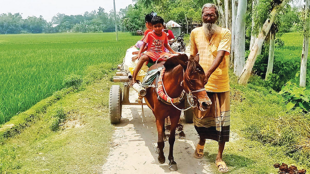 ঘোড়ার গাড়িই ভরসা