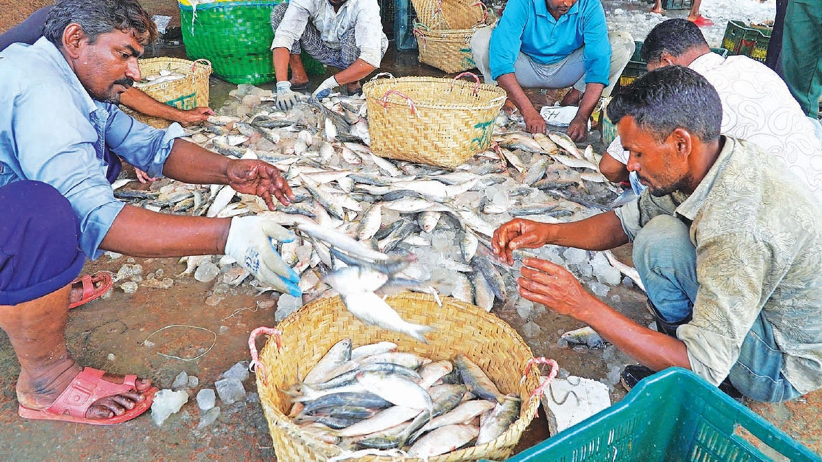 ইলিশ যজ্ঞ